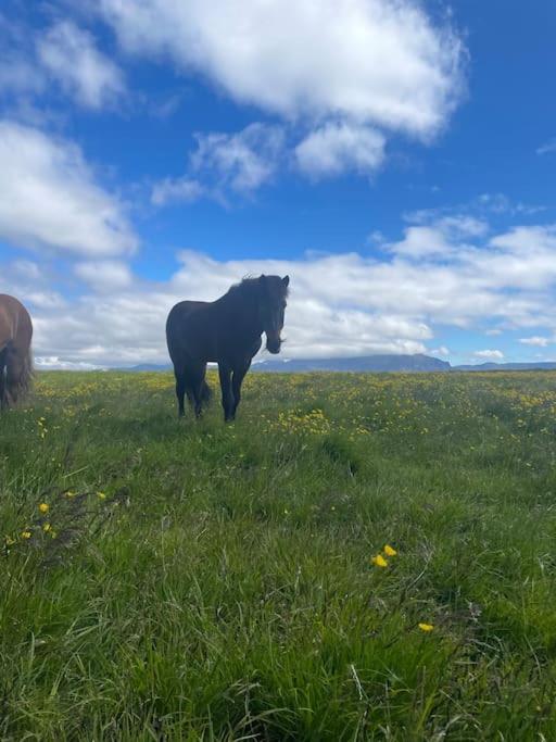 Kloepp Lodge - Snaefellsnes Peninsula Stykkishólmur Екстериор снимка